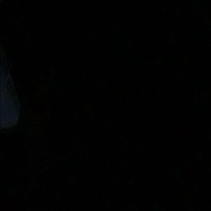 Meet your Posher, Wyatt